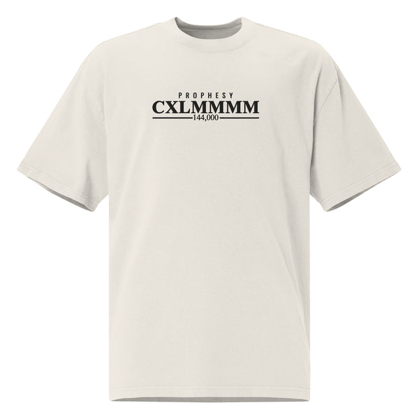 CXLMMMM 144K (embroidery) Oversized T-Shirt